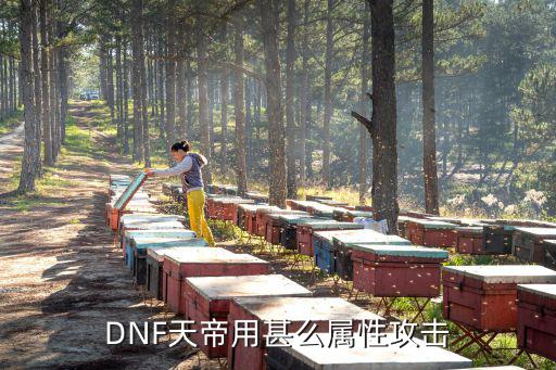 DNF天帝用甚么属性攻击