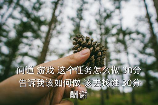 问道 游戏 这个任务怎么做 30分 告诉我该如何做 该去找谁 30分酬谢