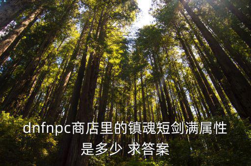 dnfnpc商店里的镇魂短剑满属性是多少 求答案