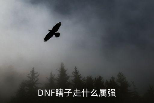 DNF瞎子走什么属强