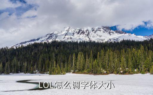 LOL怎么调字体大小