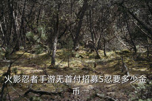 火影忍者手游无首付招募S忍要多少金币