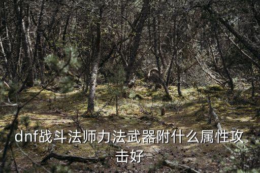 dnf战斗法师力法武器附什么属性攻击好