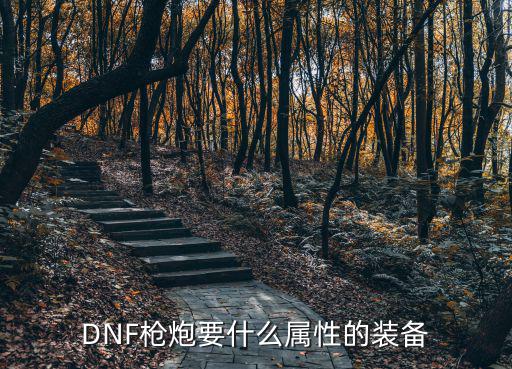 dnf枪炮武器什么属性好，DNF枪炮要什么属性的装备