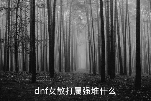 dnf女散打属强堆什么