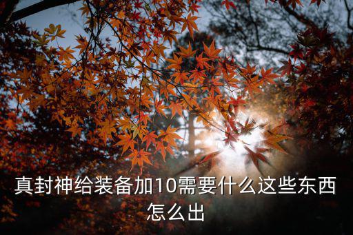 真封神给装备加10需要什么这些东西怎么出