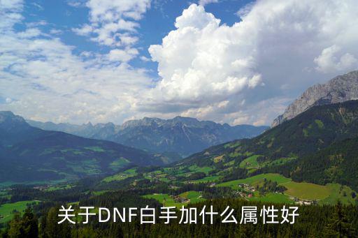 关于DNF白手加什么属性好