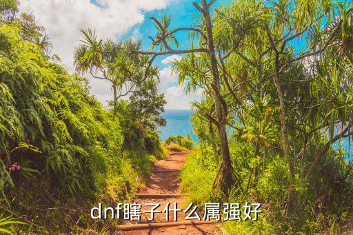 dnf瞎子什么属强好