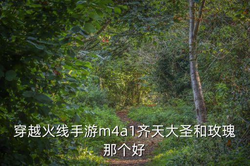 穿越火线手游m4a1齐天大圣和玫瑰那个好