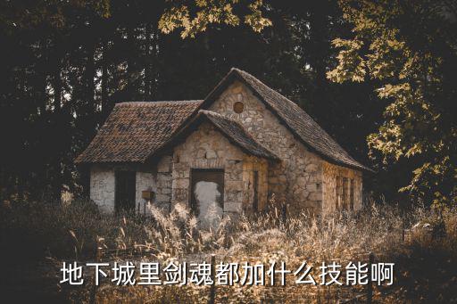 地下城里剑魂都加什么技能啊