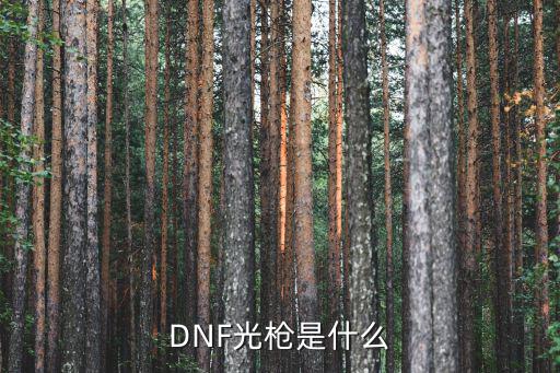 dnf光枪属于什么属性的，DNF什么叫光枪