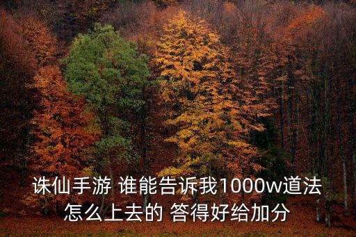 诛仙手游 谁能告诉我1000w道法怎么上去的 答得好给加分