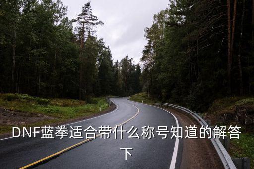 dnf蓝拳带什么属性称号，DNF蓝拳带什么称号好