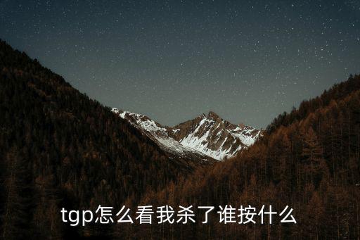 tgp怎么看我杀了谁按什么