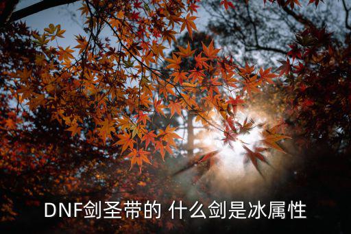 DNF剑圣带的 什么剑是冰属性