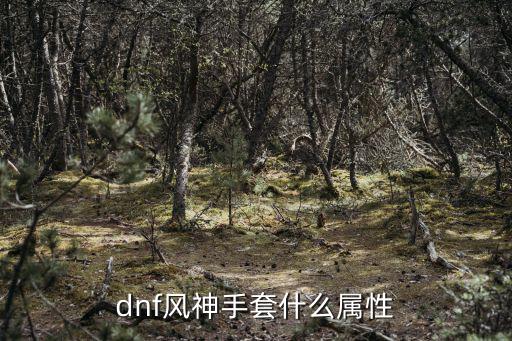 dnf风神手套什么属性