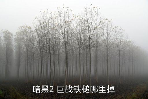 暗黑2 巨战铁槌哪里掉