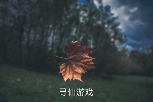 寻仙游戏