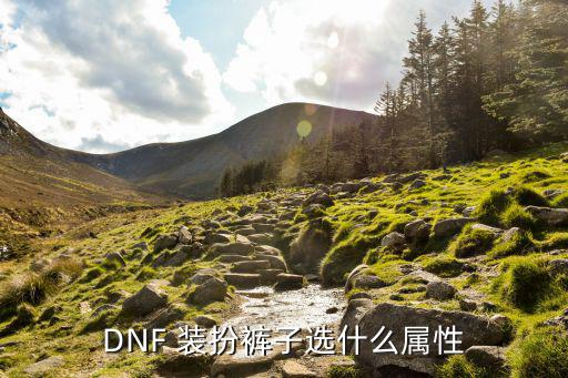 DNF 装扮裤子选什么属性