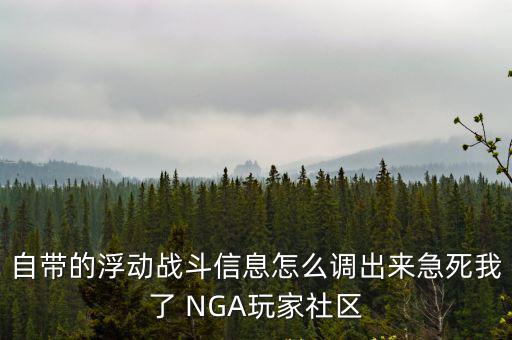 自带的浮动战斗信息怎么调出来急死我了 NGA玩家社区