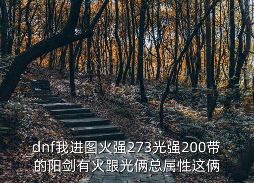 dnf我进图火强273光强200带的阳剑有火跟光俩总属性这俩