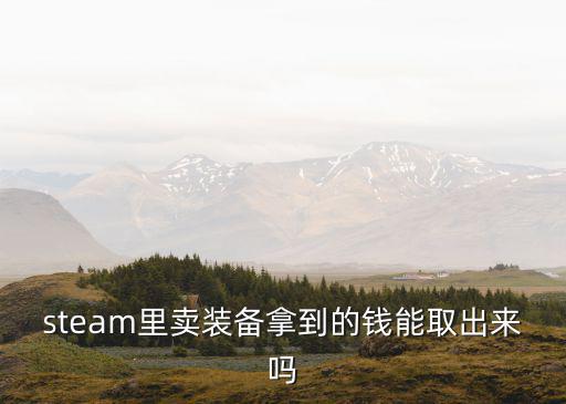 游戏装备怎么卖钱能提现吗，steam里卖装备拿到的钱能取出来吗