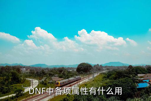 DNF中各项属性有什么用