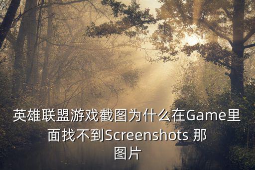 英雄联盟游戏截图为什么在Game里面找不到Screenshots 那图片