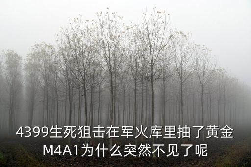 4399生死狙击在军火库里抽了黄金M4A1为什么突然不见了呢