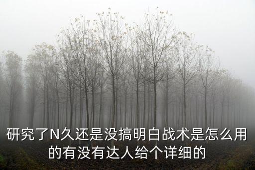 研究了N久还是没搞明白战术是怎么用的有没有达人给个详细的