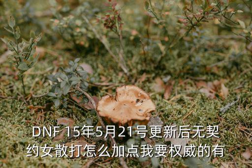 DNF 15年5月21号更新后无契约女散打怎么加点我要权威的有