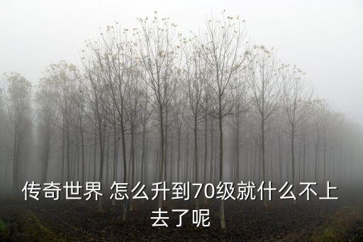 传奇世界 怎么升到70级就什么不上去了呢