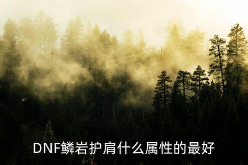 DNF鳞岩护肩什么属性的最好