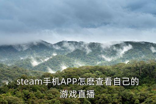 steam手机APP怎麽查看自己的游戏直播