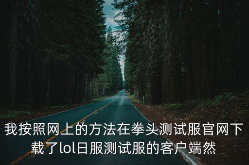 我按照网上的方法在拳头测试服官网下载了lol日服测试服的客户端然