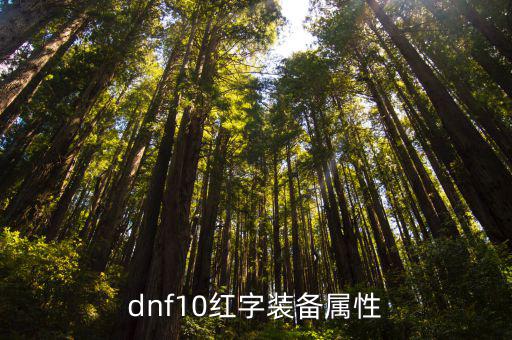 dnf10红字装备属性