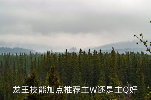 龙王技能加点推荐主W还是主Q好