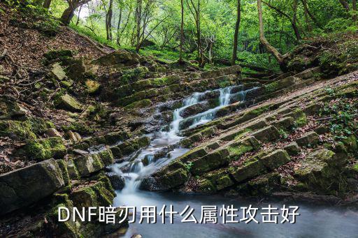 DNF暗刃用什么属性攻击好