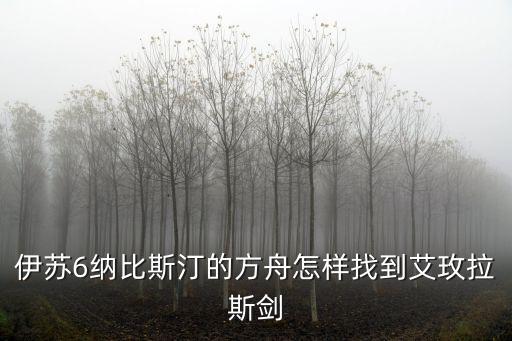 伊苏6纳比斯汀的方舟怎样找到艾玫拉斯剑