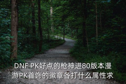 DNF PK好点的枪神进80版本漫游PK首饰的徽章各打什么属性求