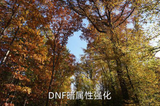 DNF暗属性强化