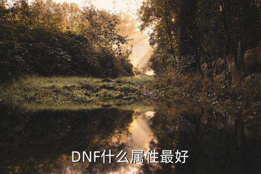 DNF什么属性最好