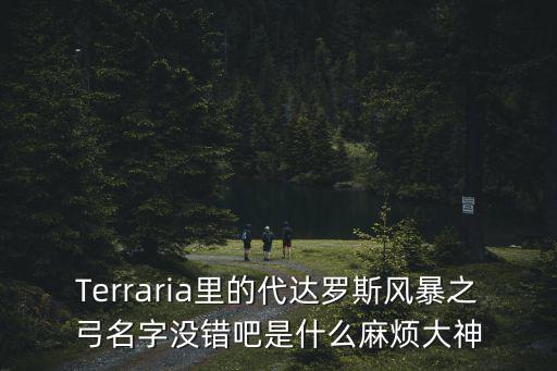 Terraria里的代达罗斯风暴之弓名字没错吧是什么麻烦大神