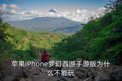 苹果iPhone梦幻西游手游版为什么不能玩