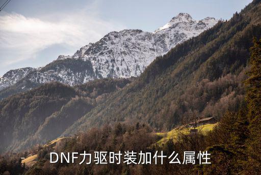 dnf力驱吃什么属性，dnf力驱堆什么属性好