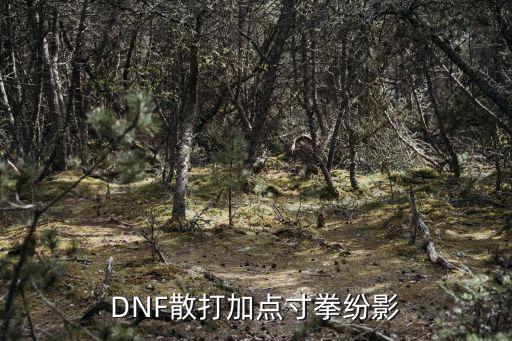 DNF散打加点寸拳纷影