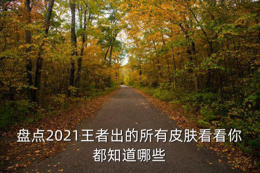 盘点2021王者出的所有皮肤看看你都知道哪些