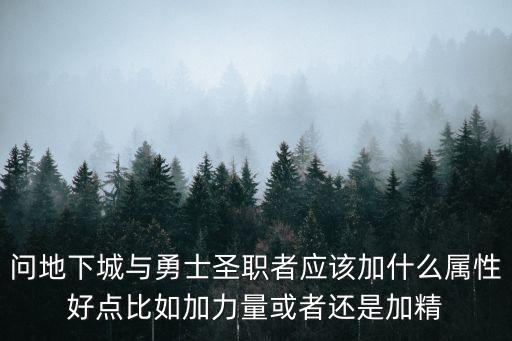 问地下城与勇士圣职者应该加什么属性好点比如加力量或者还是加精