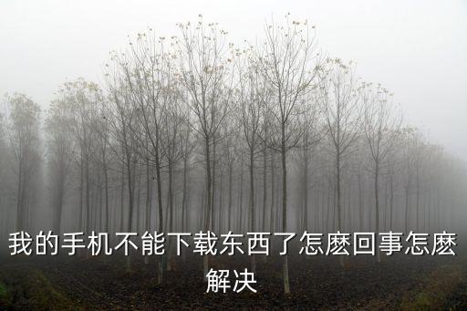 我的手机不能下载东西了怎麽回事怎麽解决