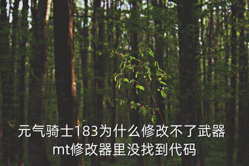 元气骑士183为什么修改不了武器 mt修改器里没找到代码